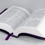 come stampare la tesi di laurea online