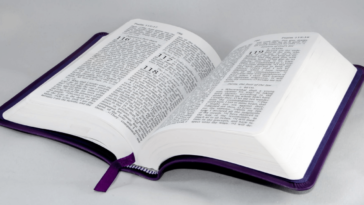 come stampare la tesi di laurea online