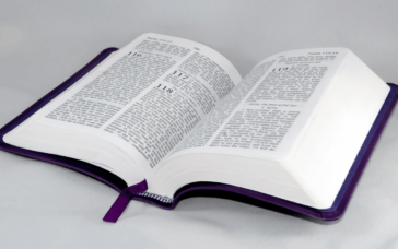 come stampare la tesi di laurea online