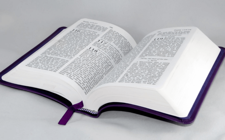 come stampare la tesi di laurea online