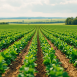 Scena del film Green and Gold che mostra agricoltura nel Wisconsin