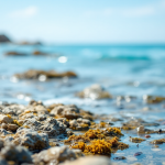 Reti fantasma che danneggiano gli oceani italiani