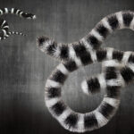 scovolo antipiccione snake italgam