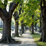 Novità WhatsApp per impostare app predefinita