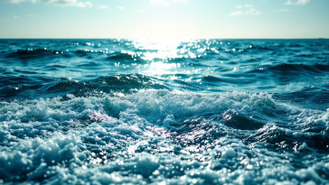 Balene che nuotano in un ecosistema marino vibrante