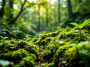 Un'immagine evocativa di The Legend of Ochi