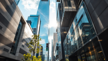 Chatbot Replika e le sanzioni legali su Luka