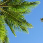 Come viversi al meglio un viaggio nelle meravigliose isole caraibiche