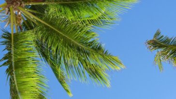 Come viversi al meglio un viaggio nelle meravigliose isole caraibiche