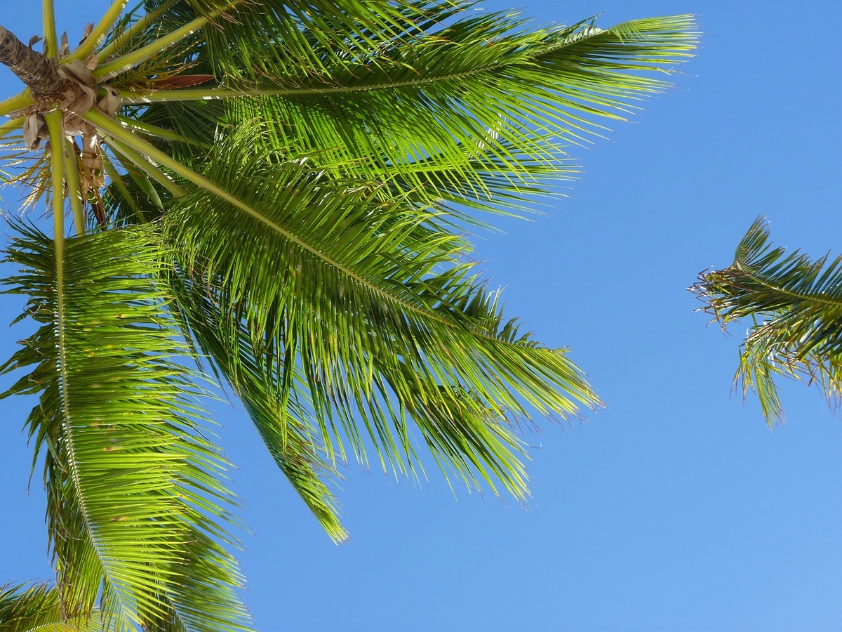 Come viversi al meglio un viaggio nelle meravigliose isole caraibiche