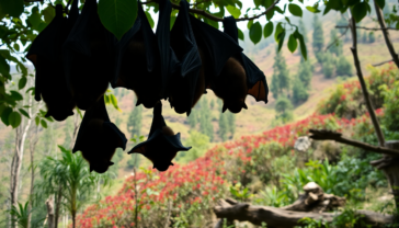 nuove minacce virali cosa ci insegnano i pipistrelli dello yunnan 1750859688