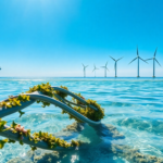 exa infrastructure e il nuovo cavo sottomarino una connessione rivoluzionaria in europa 1752533463