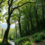 come litalia sta affrontando la nuova regolamentazione anti deforestazione python 1755150803