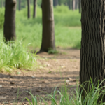 connettivita mesh a 10 gbps unalternativa sicura a starlink python 1756008613