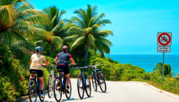 e bike a key biscayne il divieto che ha diviso la comunita python 1755687306