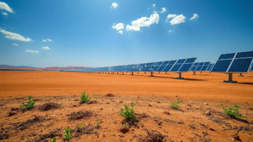 la sorprendente lotta della cina contro la desertificazione grazie ai pannelli solari python 1755345066