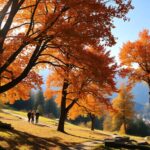 autunno in trentino eventi imperdibili e meraviglie naturali da scoprire python 1758439752