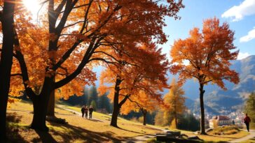 autunno in trentino eventi imperdibili e meraviglie naturali da scoprire python 1758439752