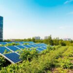 innovazioni ecologiche le ultime novita e le sfide ambientali da affrontare python 1758443408