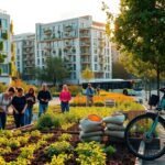 novita entusiasmanti nel settore ecologico scopri le ultime tendenze sostenibili python 1758727183