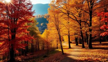 scopri la magia dellautunno in trentino unesperienza imperdibile python 1758458050