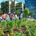 green news scopri come vivere in modo eco friendly 1761249010