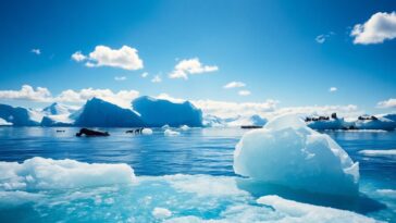 nuove rivelazioni sul naufragio dellendurance di shackleton scoperte e misteri python 1759756421