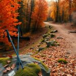 perche i bastoncini da trekking sono indispensabili per le escursioni autunnali 1760860653