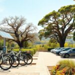 scopri le ultime novita green che stanno rivoluzionando il nostro pianeta 1760017901