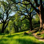 scopri tutti i dettagli della puntata di greentellingcom su canale italia 1764675898