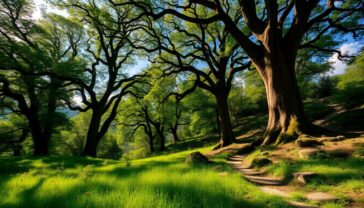 scopri tutti i dettagli della puntata di greentellingcom su canale italia 1764675898