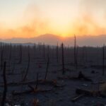 patagonia in fiamme cause e conseguenze della crisi ambientale 1768504896