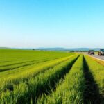 robecco pavese conferenza sul progetto innovativo di un impianto biogas 1767225580