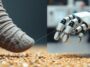 come i baffi dellelefante ispirano sensori tattili per robot 1771810512