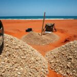 guano e prosperita lenergia nascosta del regno di chincha 1771175211