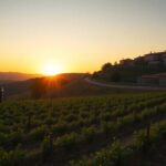 il viaggio filmico nella rinascita di tatti comunita terra e sostenibilita 1771586633