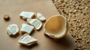 incisioni su uova di struzzo svelano le prime regole geometriche delluomo 1770895124