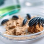 come i tardigradi aiutano a capire la tossicita del suolo marziano 1772978003