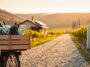 Come la mobilità green trasforma l'enoturismo italiano