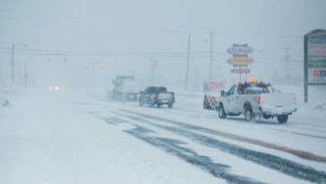 erik mclean gm15fkwmmna unsplash